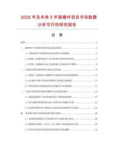 2025年及未來5年耐磨件項目市場數(shù)據(jù)分析可行性研究報告