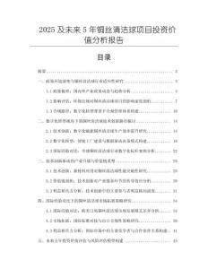 2025及未來5年銅絲清潔球項(xiàng)目投資價(jià)值分析報(bào)告