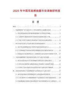 2025年中國(guó)雙焰燃燒器市場(chǎng)調(diào)查研究報(bào)告