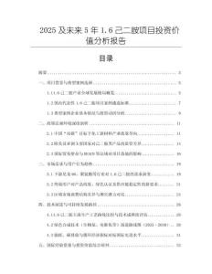 2025及未來5年1.6己二胺項目投資價值分析報告