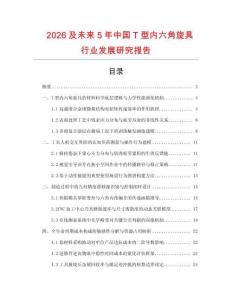 2026及未來5年中國T型內(nèi)六角旋具行業(yè)發(fā)展研究報告