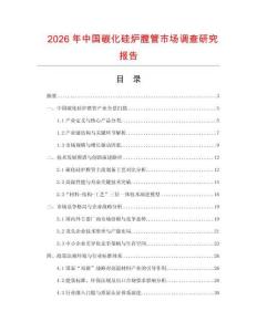 2026年中國碳化硅爐膛管市場調查研究報告