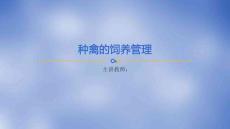 《禽生產(chǎn)》課件——修改種禽的飼養(yǎng)管理