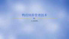 《禽生產(chǎn)》課件——鴨的飼養(yǎng)管理技術(shù)