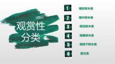 《森林動(dòng)植物保護(hù)與鑒賞》課件——觀賞特性分類