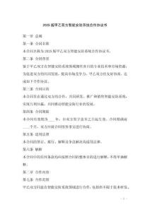 2025版甲乙雙方智能安防系統(tǒng)合作協(xié)議書