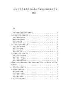 中國智慧農(nóng)業(yè)傳感器網(wǎng)絡(luò)部署現(xiàn)狀與精準(zhǔn)灌溉效益報告