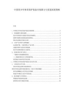 中國青少年體育保護裝備市場潛力與渠道拓展策略