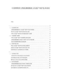 中國博物館文物監(jiān)測攝像機(jī)文化遺產(chǎn)保護(hù)技術(shù)前沿