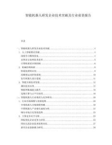 智能機器人研發企業技術突破及行業前景報告