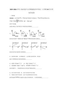 2025~2026學(xué)年上海市復(fù)旦大學(xué)附屬?gòu)?fù)興中學(xué)高二上學(xué)期10月月考化學(xué)試卷