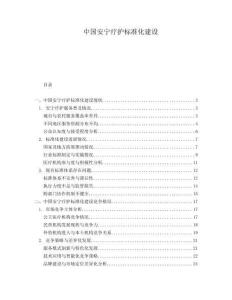 中國安寧療護標準化建設