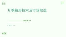 月季栽培技術及市場效益