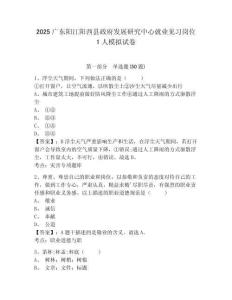 2025廣東陽(yáng)江陽(yáng)西縣政府發(fā)展研究中心就業(yè)見(jiàn)習(xí)崗位1人模擬試卷帶答案詳解
