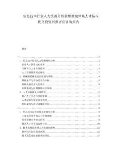 信息技術(shù)行業(yè)人力資源分析薪酬激勵體系人才結(jié)構(gòu)優(yōu)化投資回報評估咨詢報告