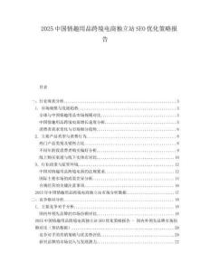 2025中國情趣用品跨境電商獨(dú)立站SEO優(yōu)化策略報(bào)告