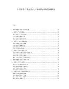 中國(guó)滑套行業(yè)安全生產(chǎn)標(biāo)準(zhǔn)與風(fēng)險(xiǎn)管理報(bào)告