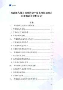 陶瓷激光打孔模組行業(yè)產(chǎn)業(yè)發(fā)展現(xiàn)狀及未來發(fā)展趨勢(shì)分析研究