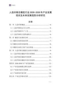 人造纖維在橡膠行業(yè)2026-2030年產(chǎn)業(yè)發(fā)展現(xiàn)狀及未來(lái)發(fā)展趨勢(shì)分析研究