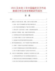 2025及未來5年中國磁把叉子市場數據分析及競爭策略研究報告