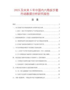 2025及未來5年中國內六角扳手套市場數據分析研究報告