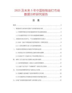 2025及未來5年中國鐵制油燈市場數據分析研究報告