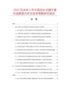 2025及未來5年中國加長點塑手套市場數據分析及競爭策略研究報告