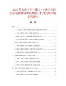 2025及未來5年中國1／3迷你半球型彩色攝像機(jī)市場(chǎng)數(shù)據(jù)分析及競(jìng)爭(zhēng)策略研究報(bào)告