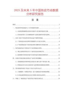 2025及未來5年中國鐵皮市場數(shù)據(jù)分析研究報告