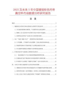 2025及未來5年中國鍍銀彩色吊帶真空杯市場數據分析研究報告