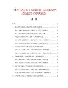 2025及未來5年中國打火機(jī)筆尖市場數(shù)據(jù)分析研究報(bào)告