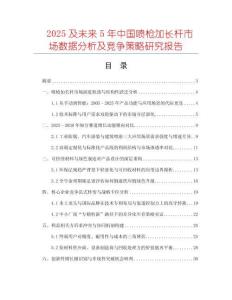 2025及未來5年中國噴槍加長桿市場數據分析及競爭策略研究報告