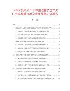 2025及未來5年中國雙管式氙氣大燈市場數(shù)據(jù)分析及競爭策略研究報告
