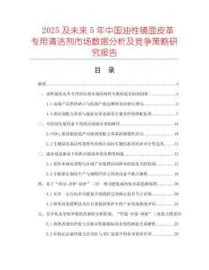 2025及未來5年中國油性鏡面皮革專用清潔劑市場數據分析及競爭策略研究報告