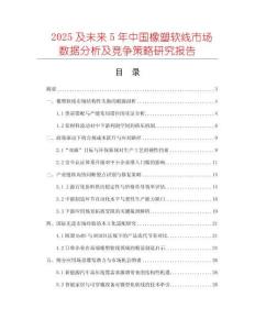 2025及未來5年中國橡塑軟線市場數(shù)據(jù)分析及競爭策略研究報(bào)告