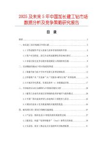 2025及未來5年中國加長建工鉆市場數據分析及競爭策略研究報告