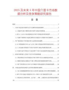 2025及未來5年中國介面卡市場數(shù)據(jù)分析及競爭策略研究報告