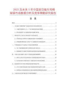 2025及未來5年中國多功能車用椅背袋市場數(shù)據(jù)分析及競爭策略研究報告