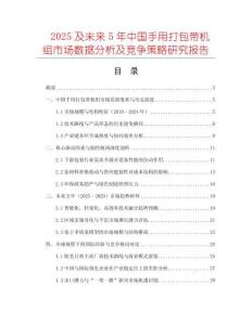 2025及未來5年中國手用打包帶機組市場數據分析及競爭策略研究報告