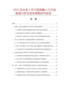 2025及未來5年中國彈簧小刀市場數(shù)據(jù)分析及競爭策略研究報告