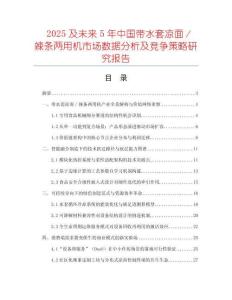 2025及未來5年中國帶水套涼面／辣條兩用機市場數據分析及競爭策略研究報告