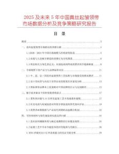 2025及未來5年中國真絲起皺領帶市場數據分析及競爭策略研究報告