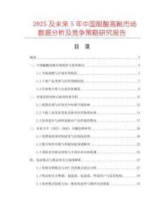 2025及未來5年中國耐酸高靴市場數(shù)據(jù)分析及競爭策略研究報告