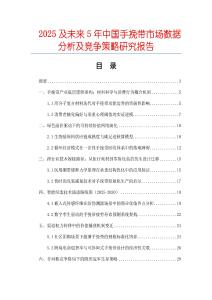 2025及未來5年中國手挽帶市場數據分析及競爭策略研究報告