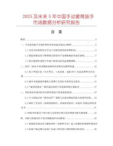 2025及未來5年中國手動套筒扳手市場數據分析研究報告