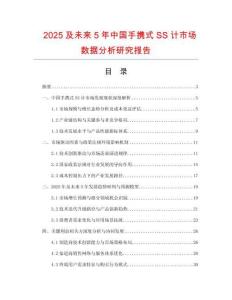 2025及未來5年中國手攜式SS計市場數據分析研究報告