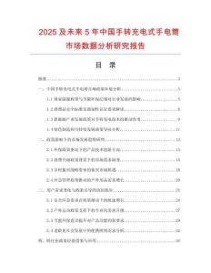 2025及未來5年中國手轉充電式手電筒市場數據分析研究報告