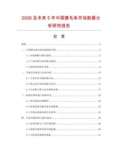 2026及未來5年中國澳毛條市場數據分析研究報告