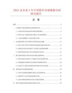 2025及未來5年中國鐵環(huán)市場數(shù)據(jù)分析研究報告