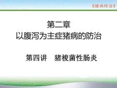 豬病防治：豬梭菌性腸炎PPT教學課件